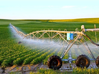 agriculture